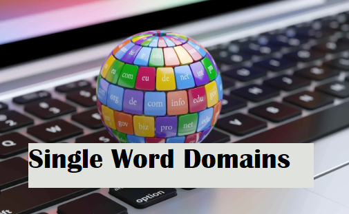 Single Word Domains